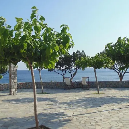 Paraktio * Киотари