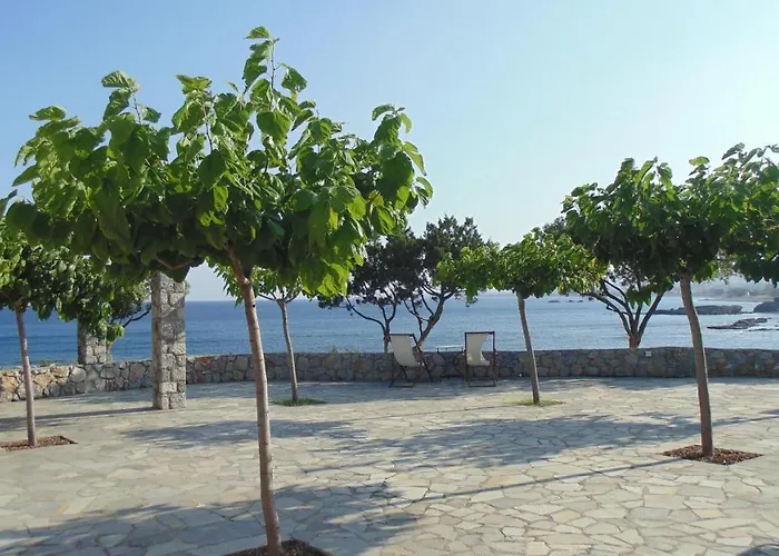 Paraktio * キオタリ