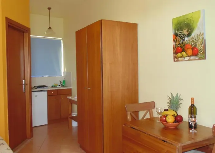 Paraktio * 키오타리