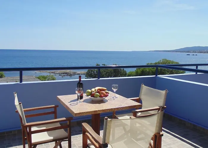 Paraktio * 키오타리